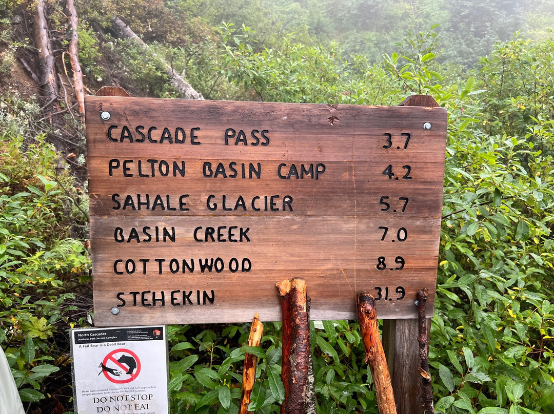 Cascade Pass / Sahale Arm Trail景点图片