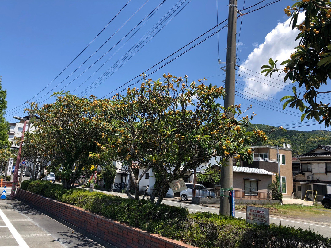 Matsubara Park-伊豆市必去景点