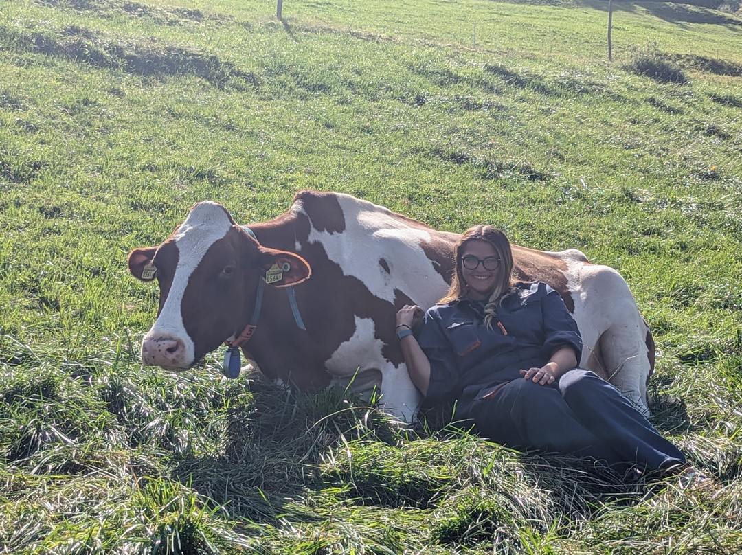 Hug & Mooh-Petit-Va必去景点