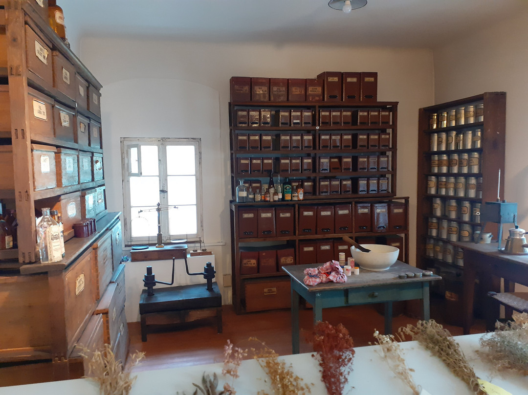 Museum im Westrich景点图片