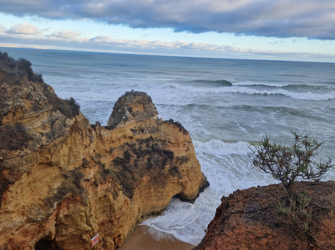 TSE The Surf Experience景点图片