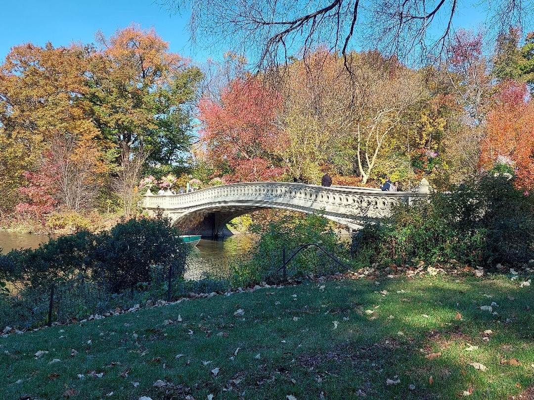 Central Park & Environs Walking Tours-纽约市必去景点