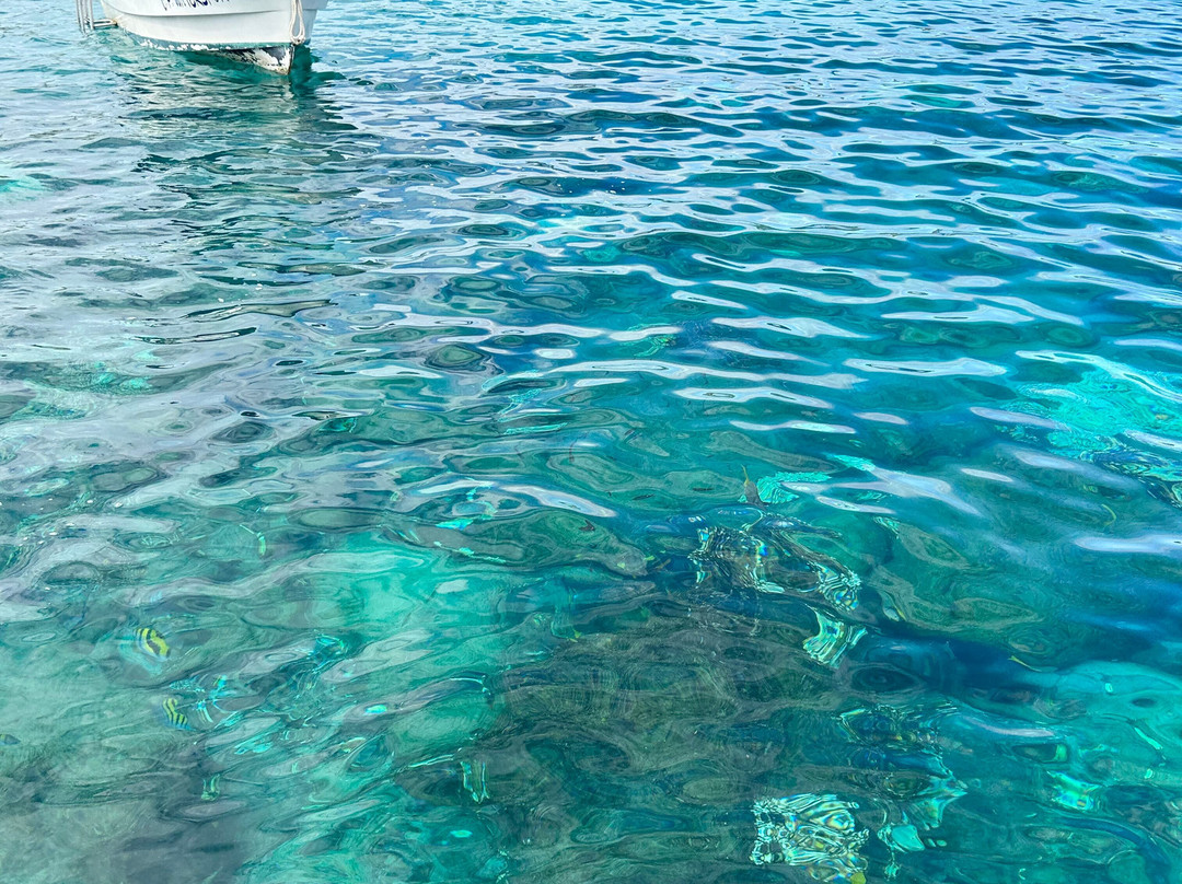 Xoc Baja Tours Cabo Pulmo-Cabo Pulmo必去景点