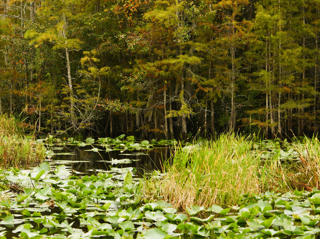 Stephen C. Foster State Park-Fargo必去景点