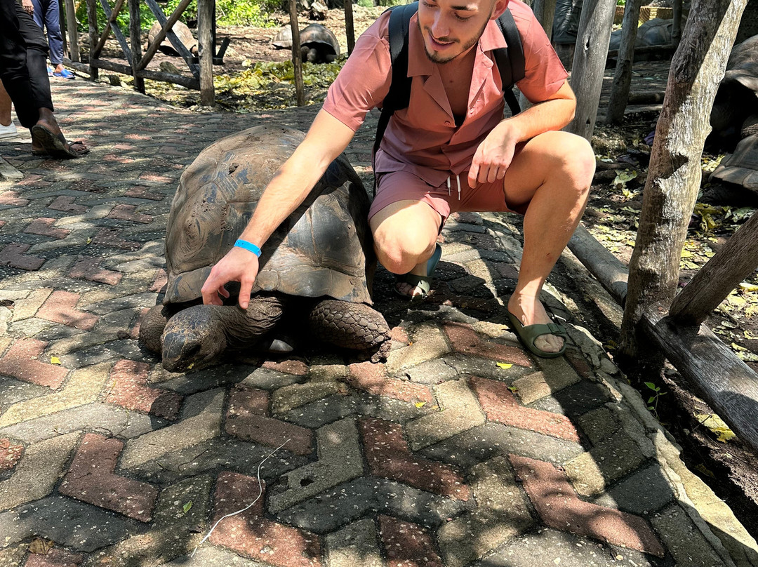 Mussa Francophone Tours-必韦久必去景点