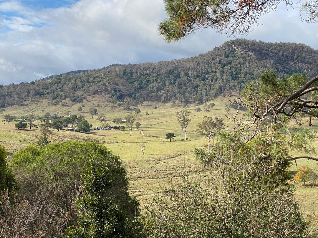 The Old School Bed and Breakfast主图