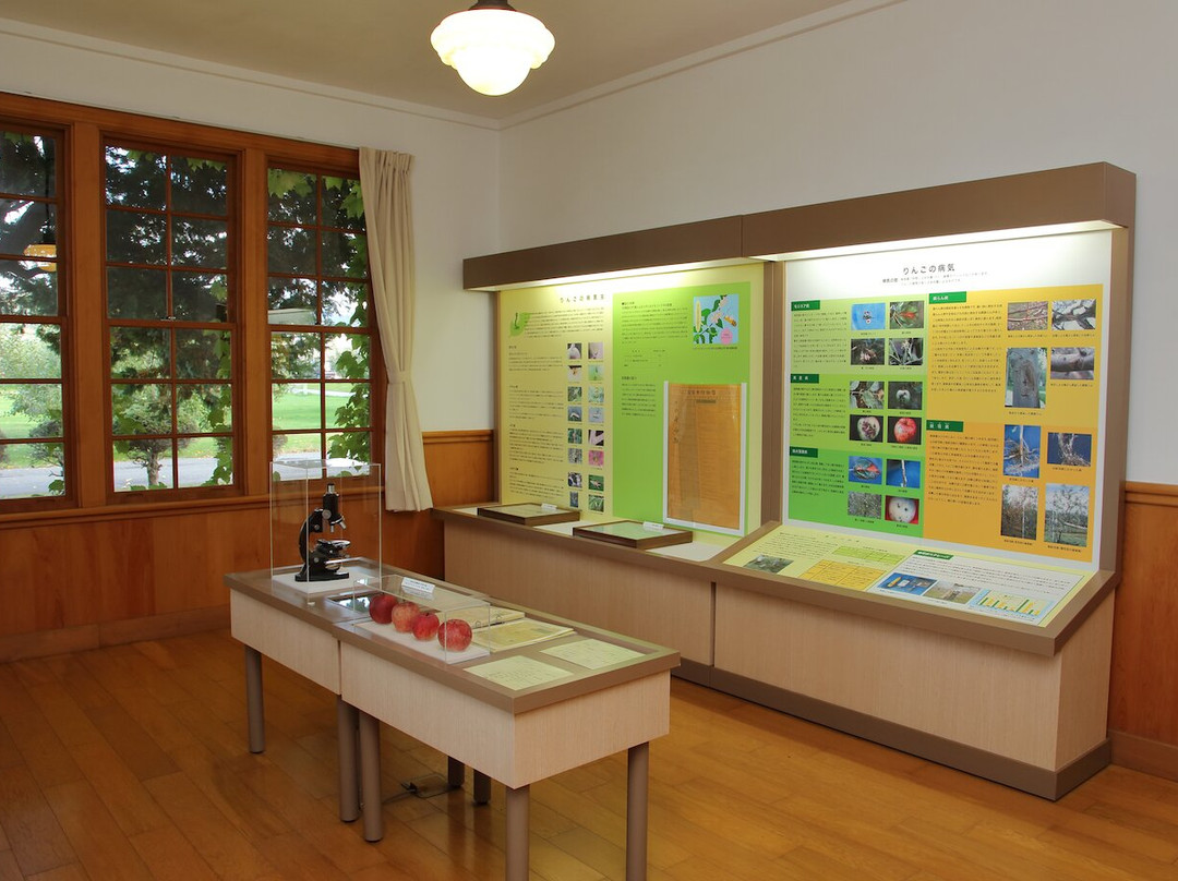 Apple Museum-黑石市必去景点