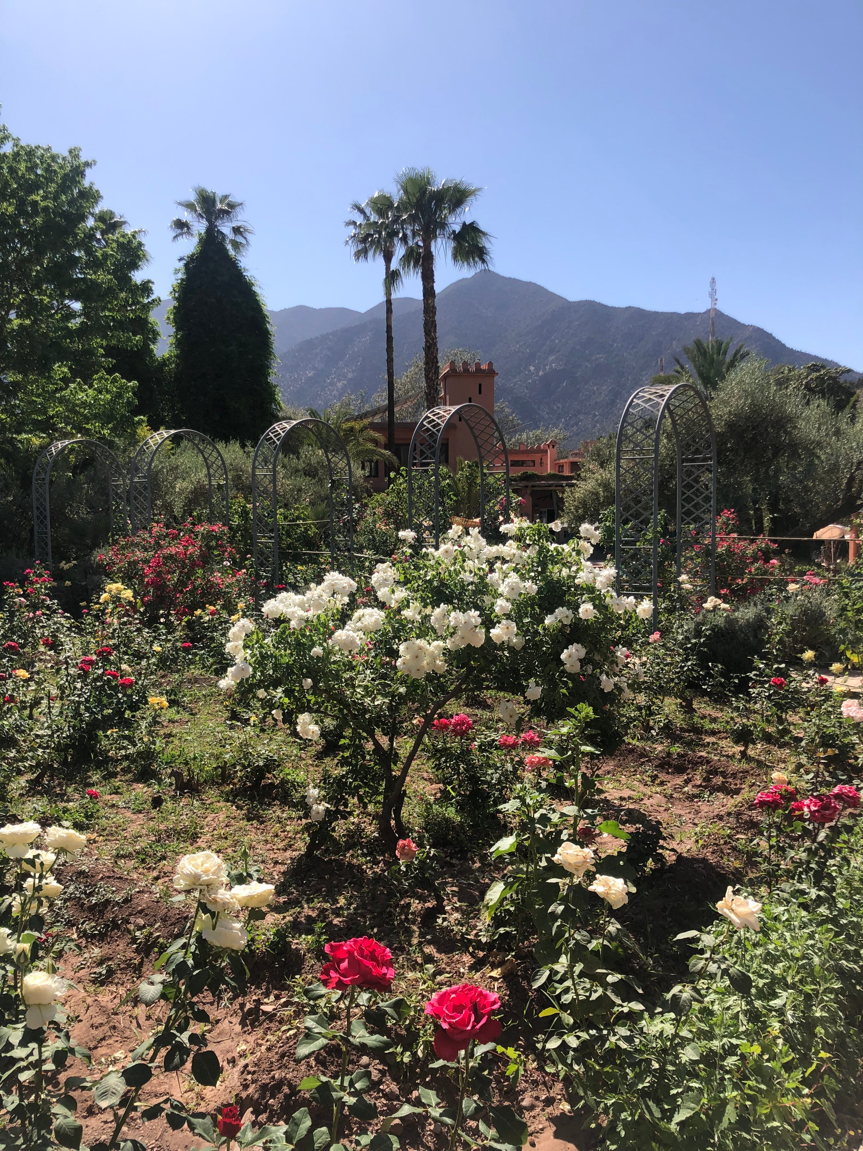 Domaine De La Roseraie-浴室