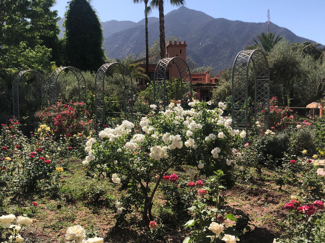 Domaine De La Roseraie主图