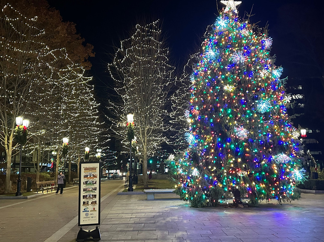 Hancock Adams Green-昆西必去景点