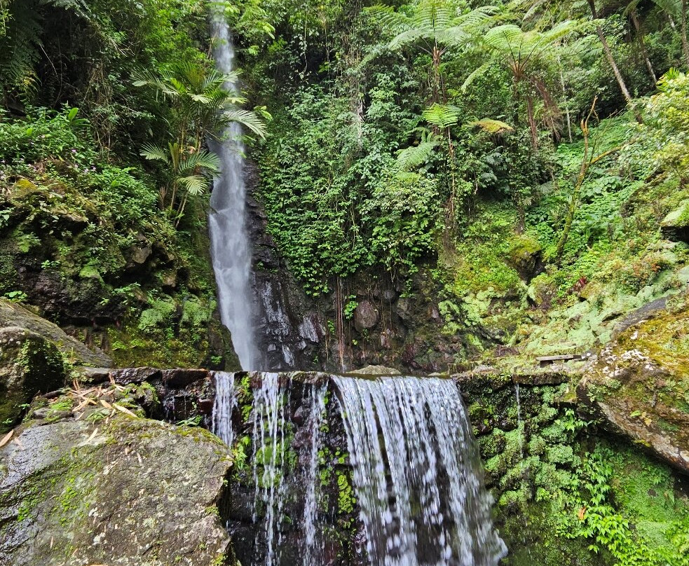 Parang Ijo Waterfalls景点图片