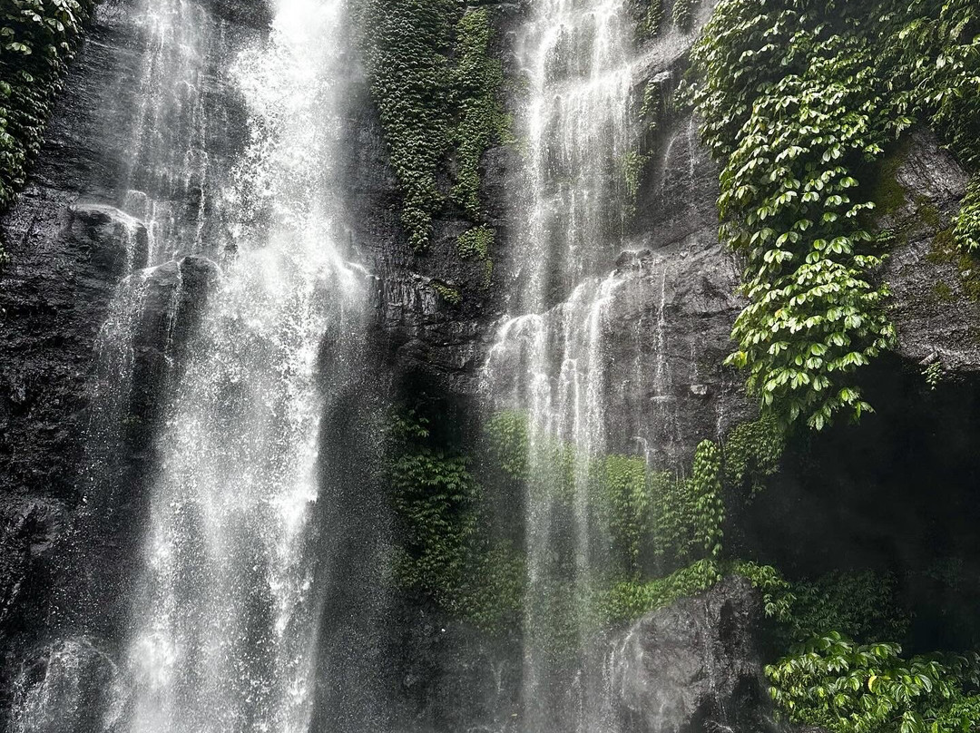 Four Elements Adventure-乌布必去景点