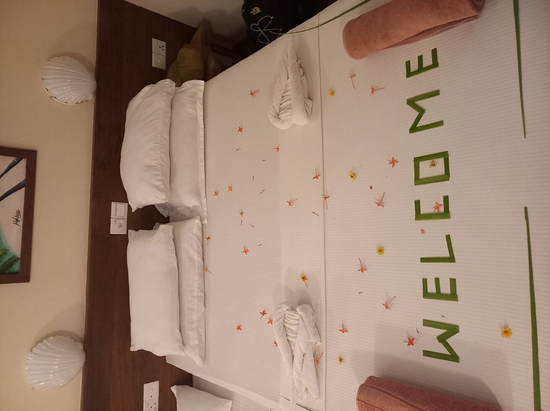 Detour Beach View主图