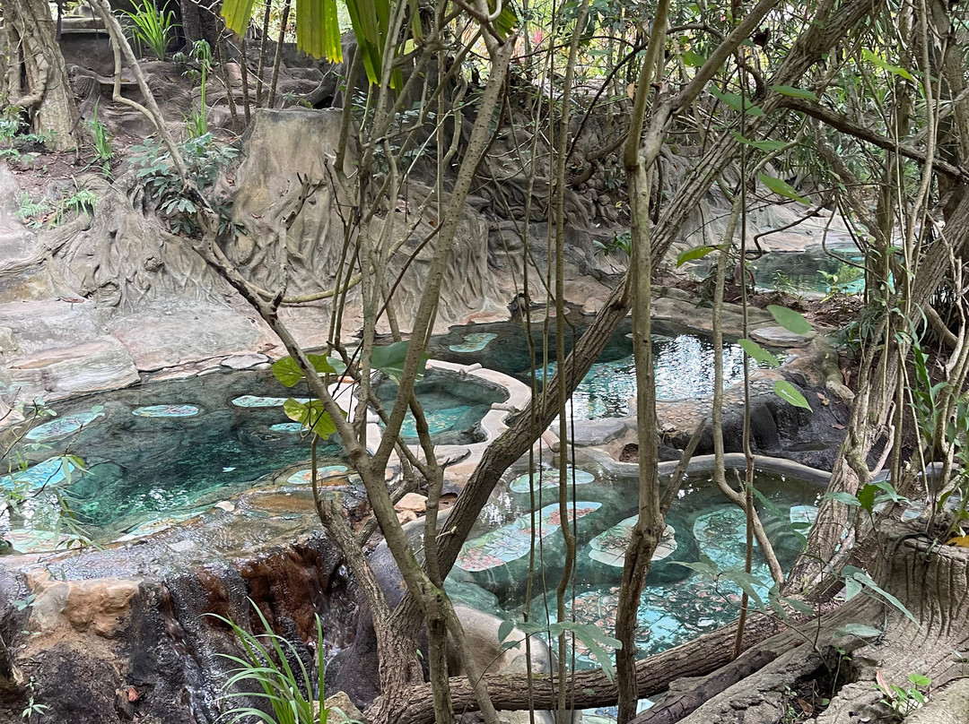 Wareerak Hot Spring & Wellness景点图片