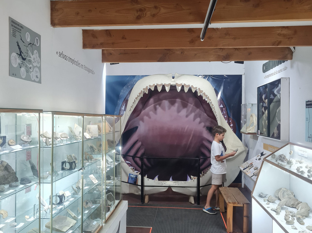 Museo Paleontologico Bariloche-圣卡洛斯-德巴里洛切必去景点