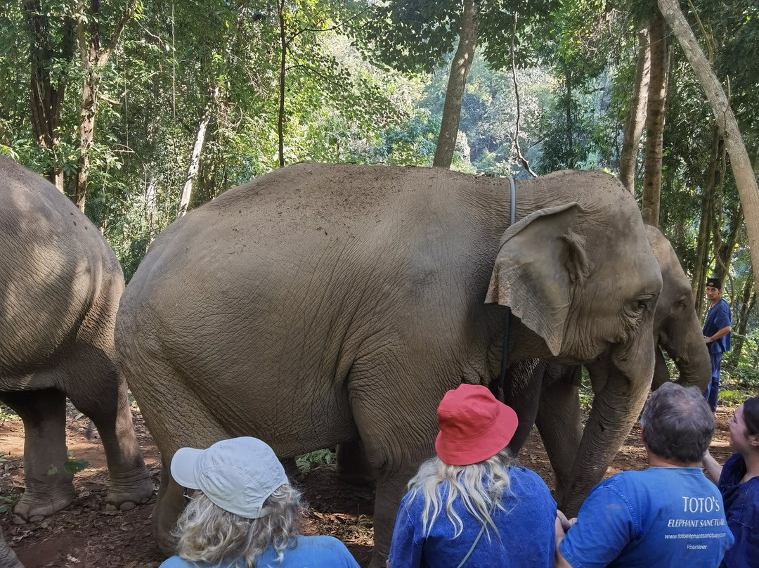 Les Secrets du Siam-曼谷必去景点
