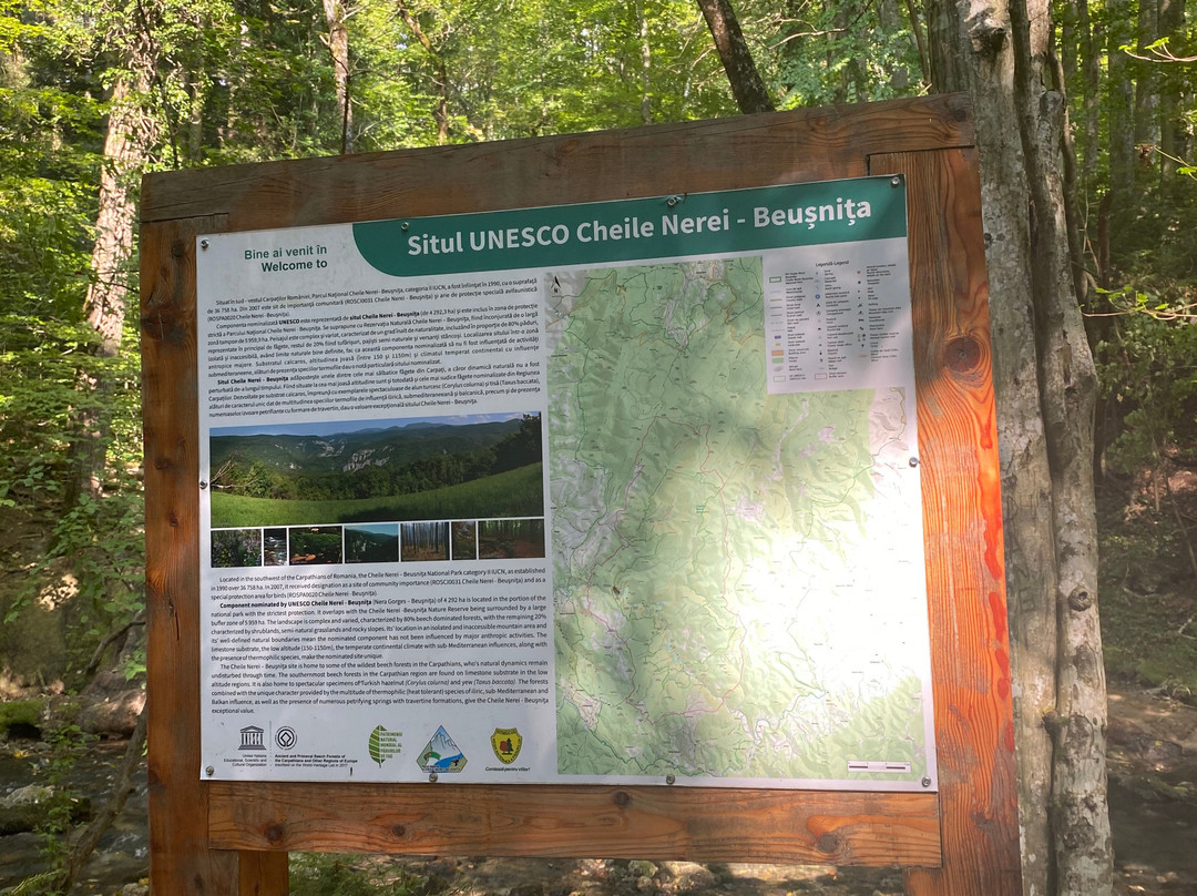 Nera Beusnita National Park景点图片
