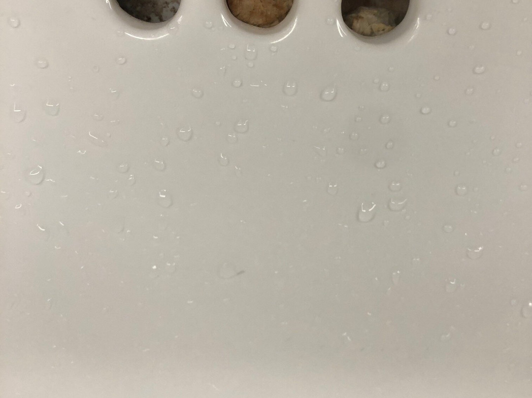 Kansas City Airport Marriott主图