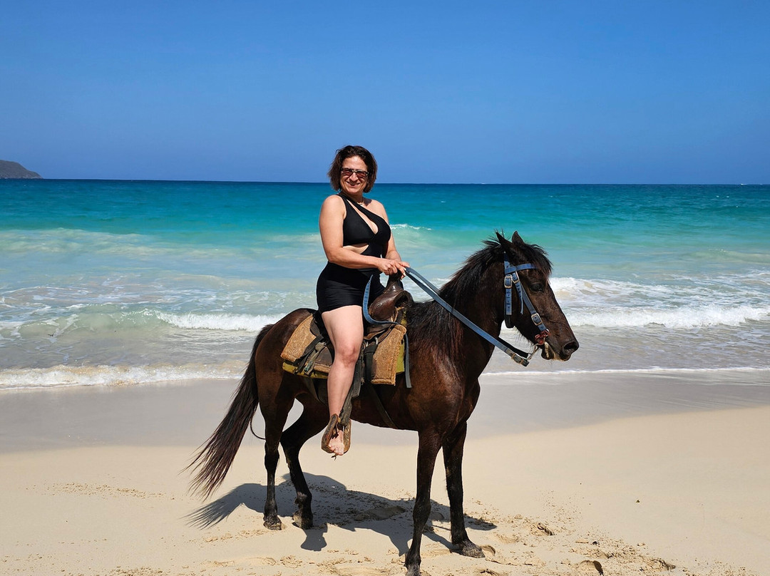 Chalet Tropical Hotel &  Bar Restaurant主图