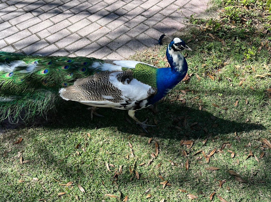 Shell Factory & Nature Park-North Fort Myers必去景点