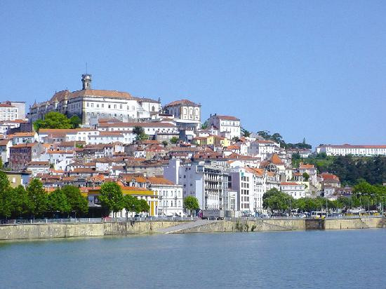 Yellow Bus Tours Braga-布拉加区必去景点