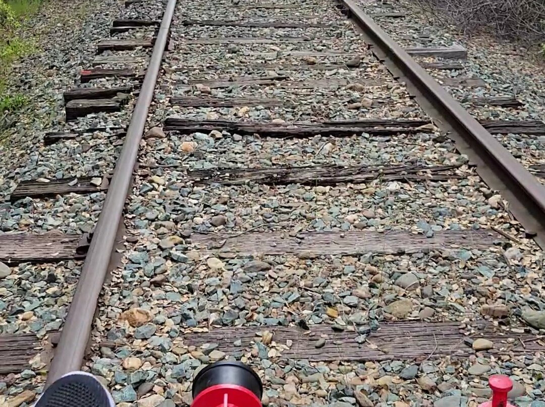 Rail Explorers: Amador CA Division景点图片