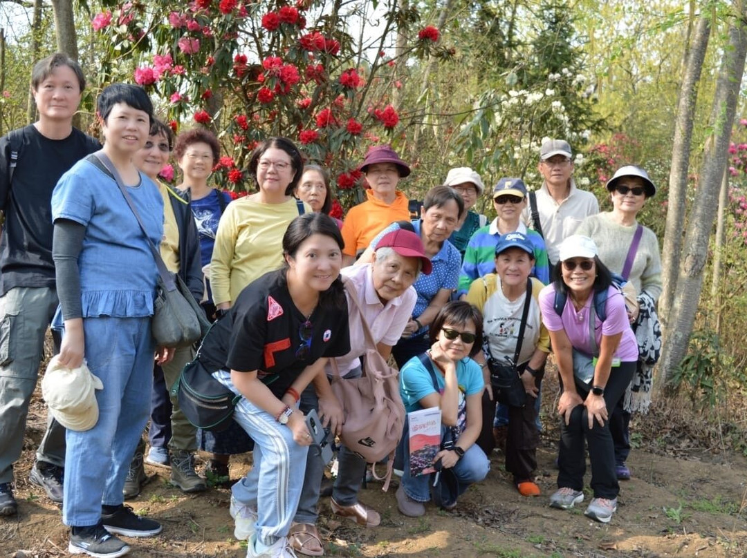 毕节森林公园景点图片