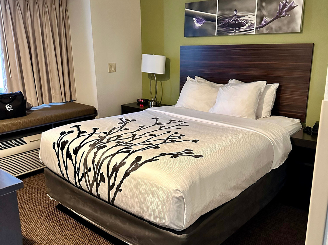 Sleep Inn & Suites主图