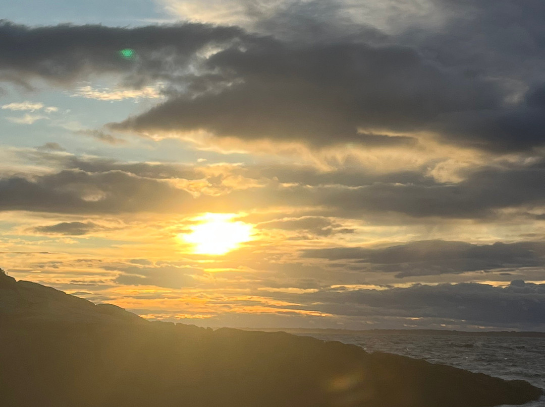 Lady Oyster Tours-巴斯必去景点