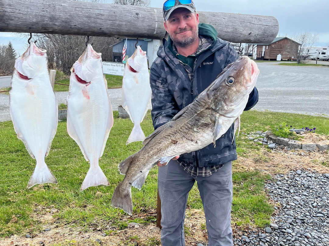 Discover Alaskan Adventures-尼尔奇克必去景点