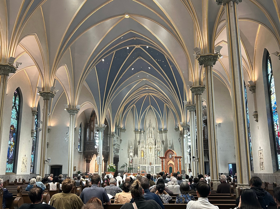 Cathedral of Saint Andrew-大急流市必去景点