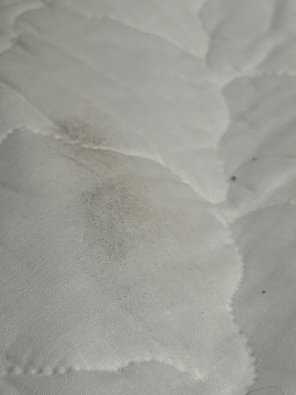 Hilton Garden Inn Texarkana主图