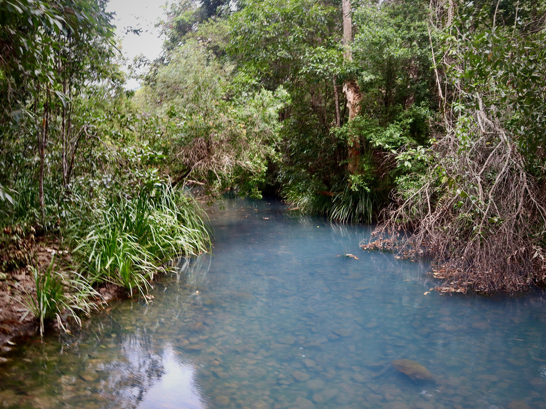 Cardwell Forest Drive-卡德威尔必去景点