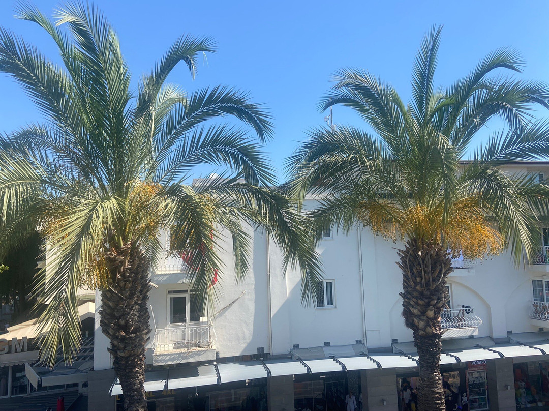 Sea Front Pansiyon主图