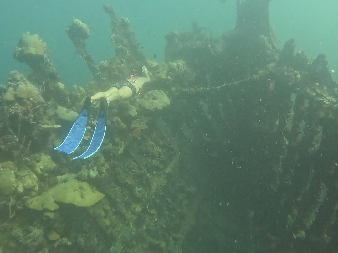 Skeleton Reef景点图片