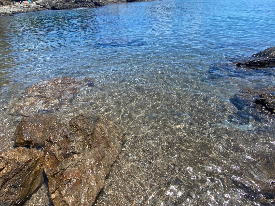 Spiaggia di Felciaio景点图片