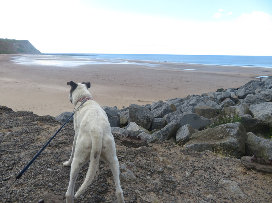 Skinningrove Beach景点图片