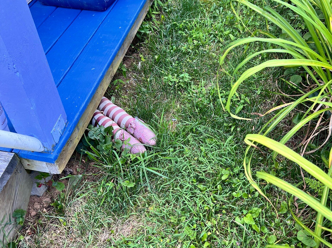 Meadowsweet Gardens Inn主图