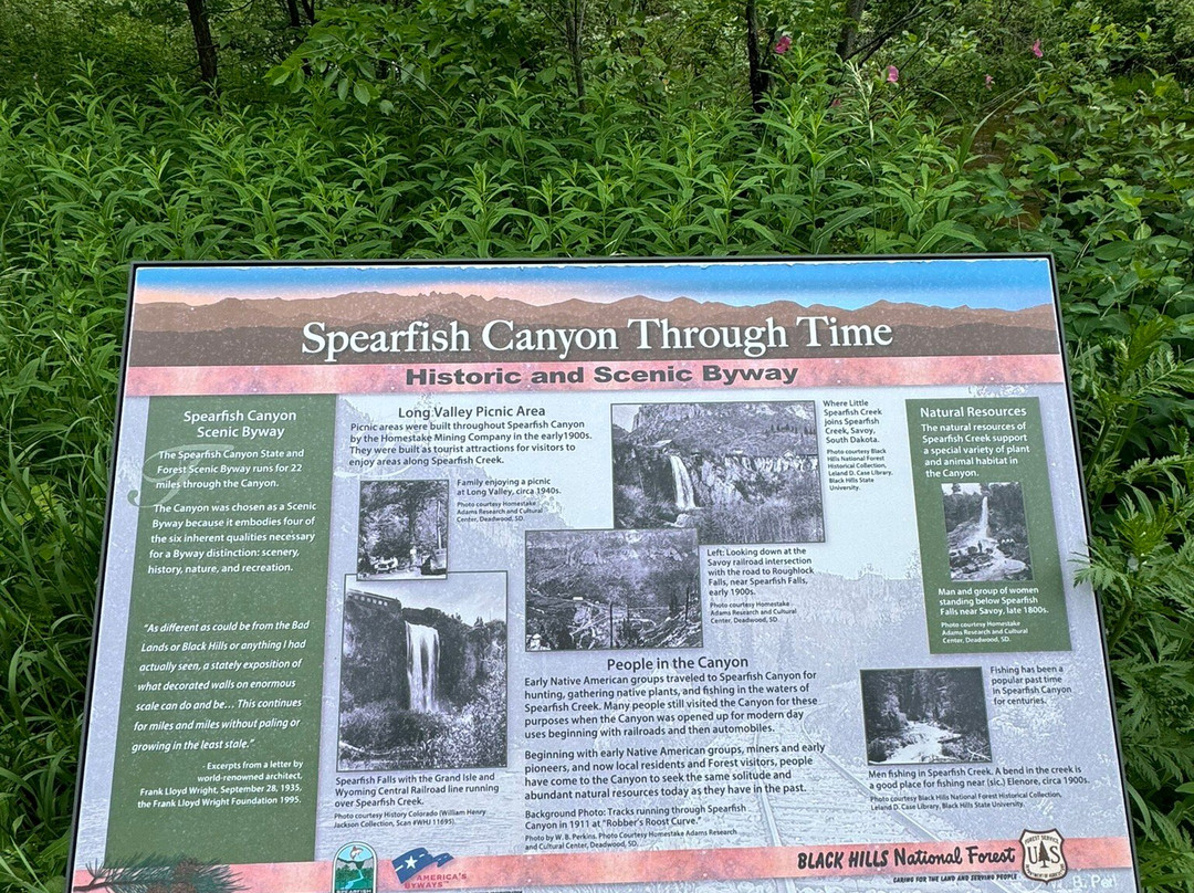 Long Valley Picnic Area-Lead必去景点