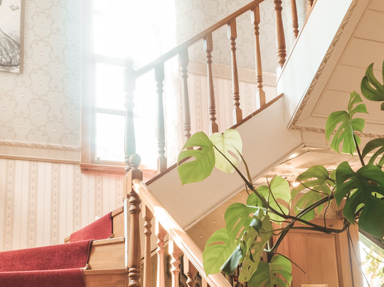 Ada Palas Hotel Buyukada主图