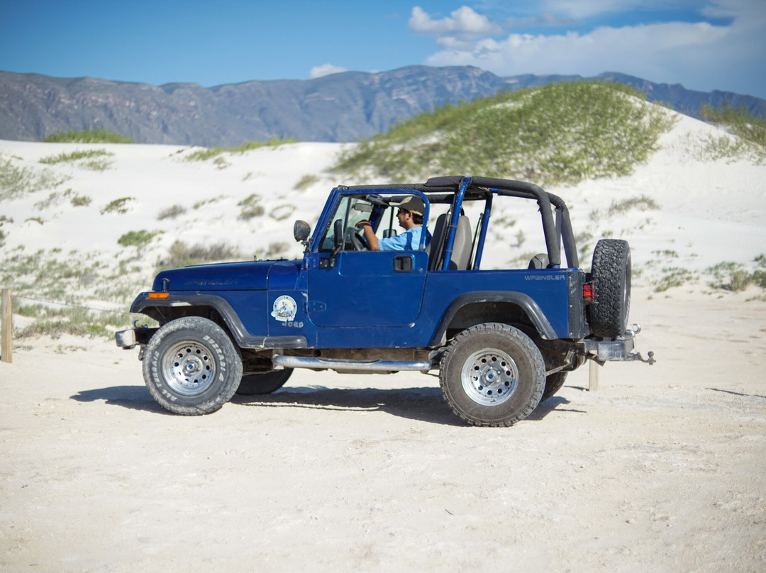 Roadrunner Coahuila Desert