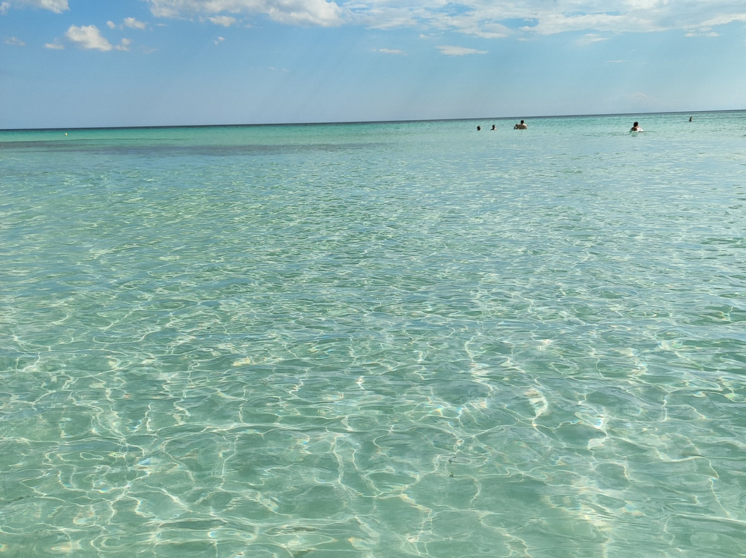 Residenza Case Arse主图