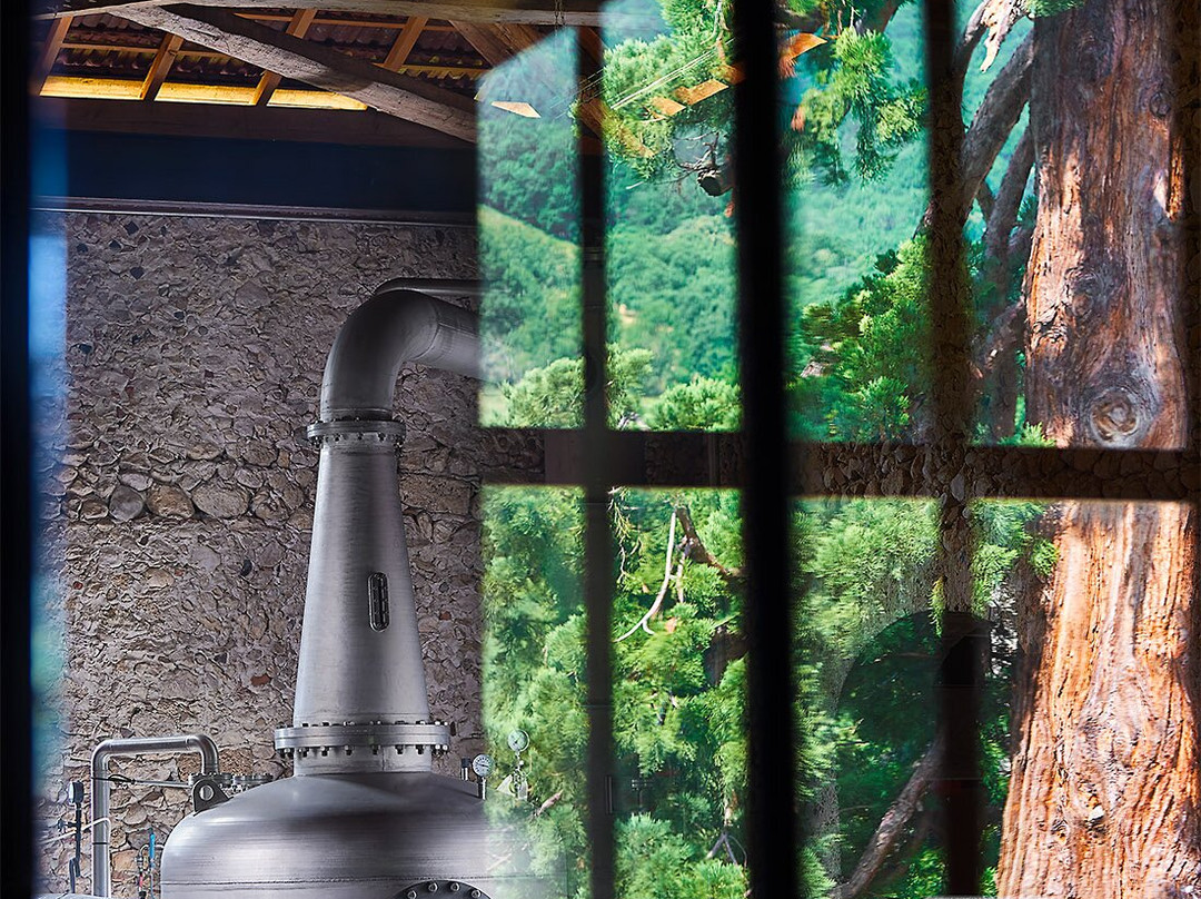 Distillerie du Vercors景点图片