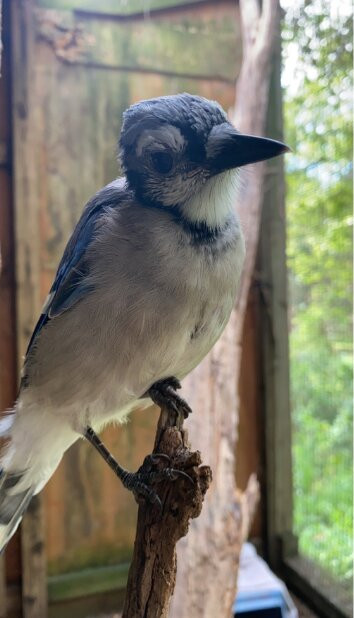Howell Nature Center-Howell必去景点