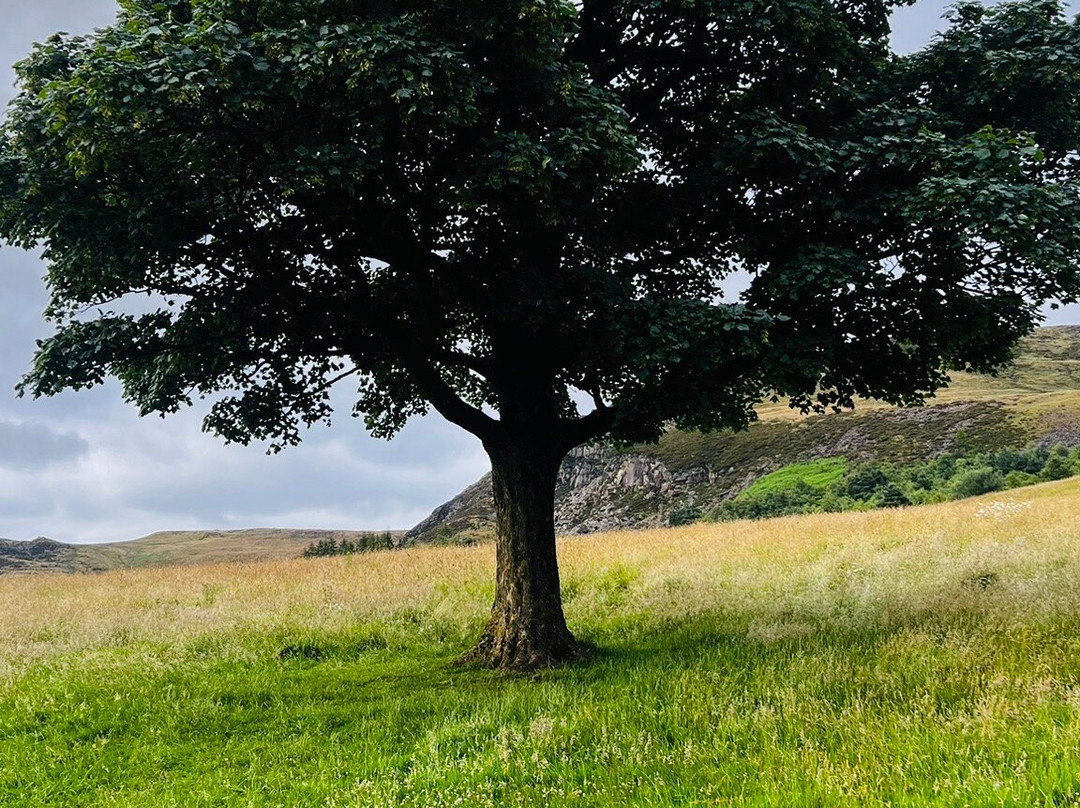 Dovestone Resevoir景点图片