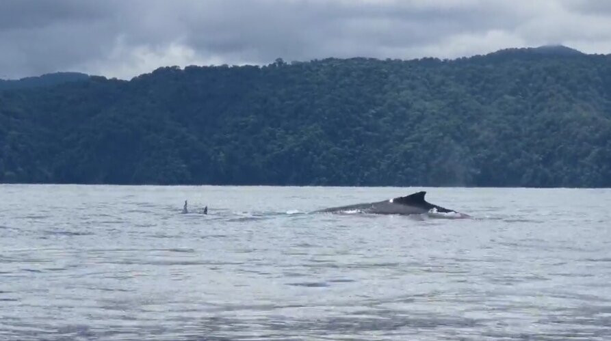 Mecana Ecohotel主图