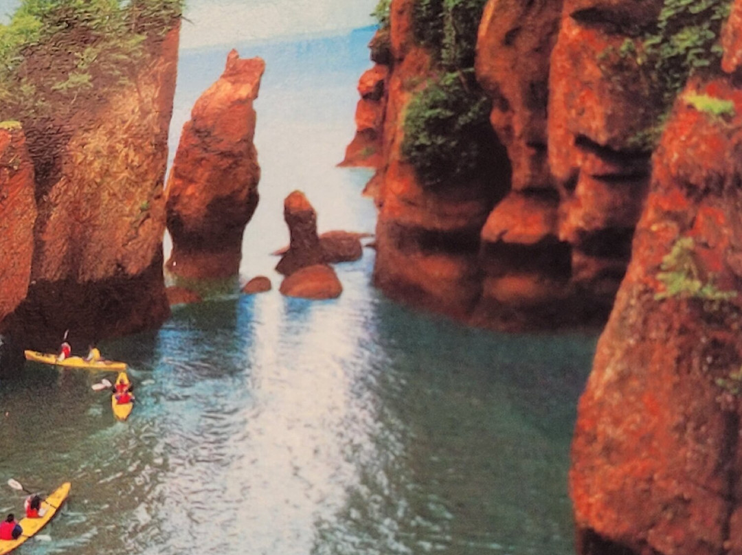 Magnetic Hill Park-蒙古顿必去景点