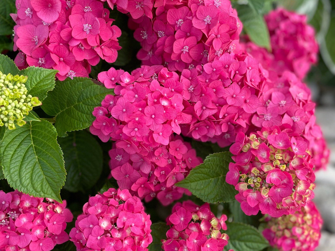 Bay Breeze Resort主图