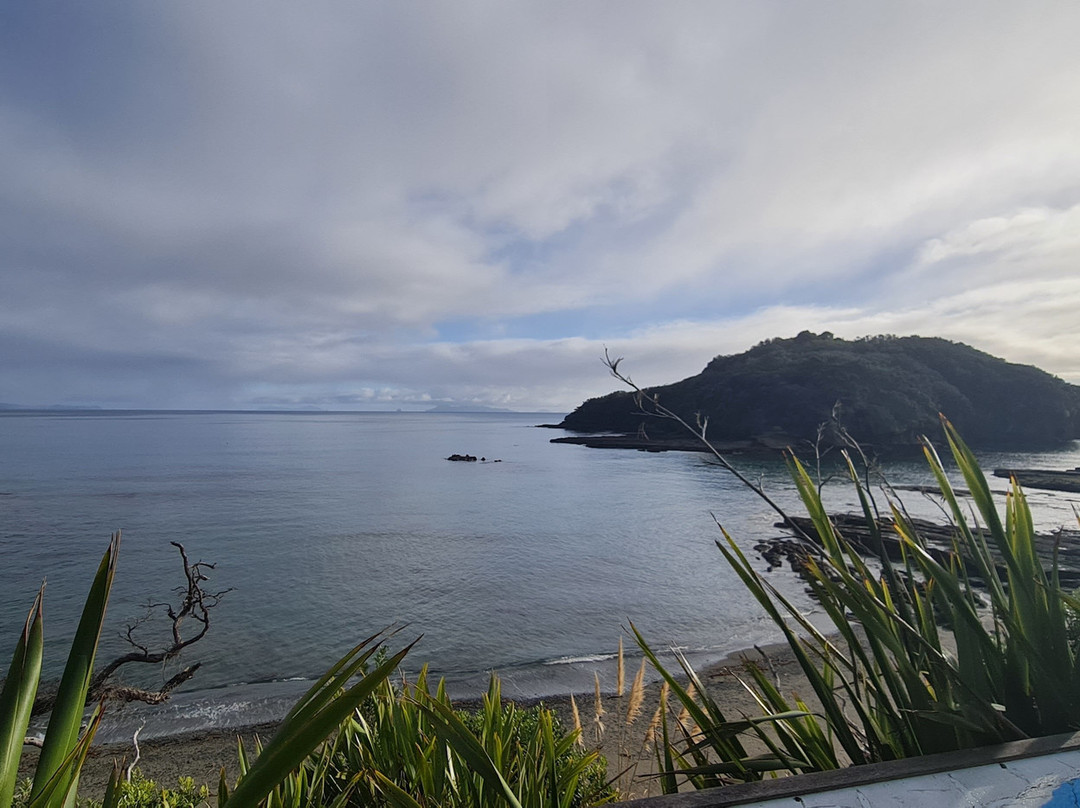Goat Island Marine Reserve-瓦卡沃夫必去景点