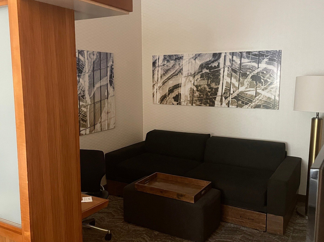 SpringHill Suites by Marriott Alexandria主图